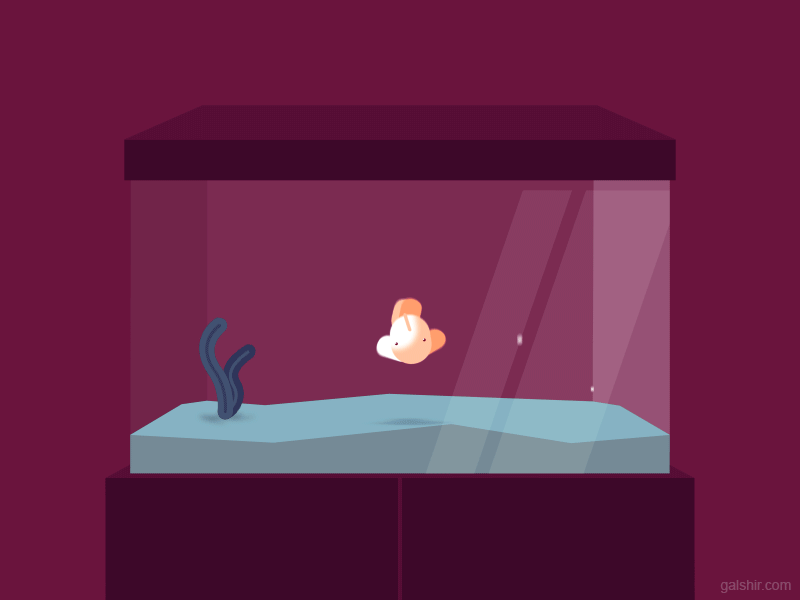 Fish Perspective | Motion design animation, Animation design ...