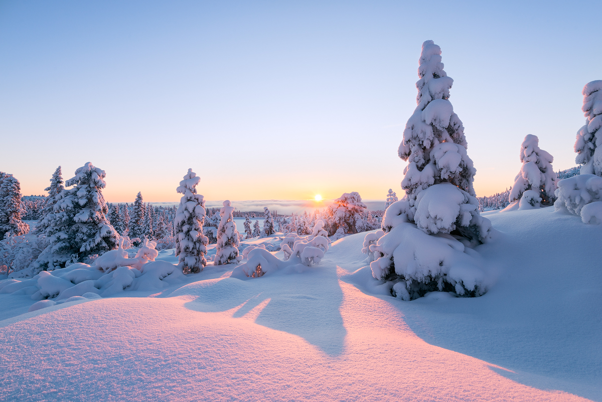 Winter, Why It’s The Best Season – Quaranteen